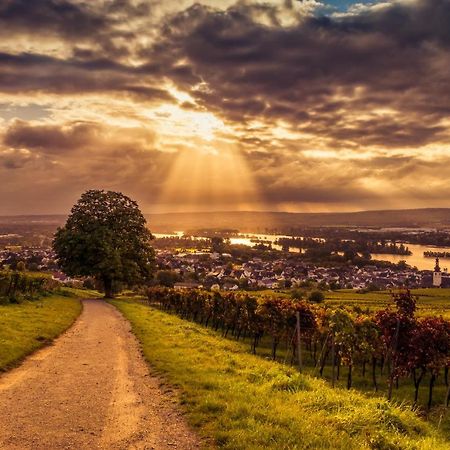 Ferienwohnung Reblaus Rüdesheim am Rhein Eksteriør bilde
